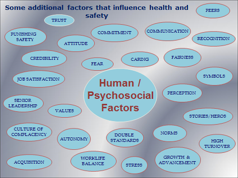 Human Psychosocial factors