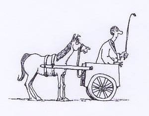 Are we putting the cart before the horse? Are the traditional ...